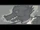Freesound, Psycho Scream 3.wav