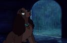 Lady and the Tramp (1955) Disney Rain 01