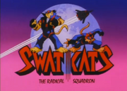 Swat kats title
