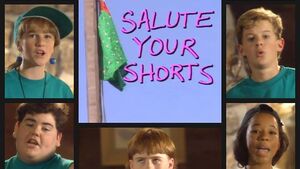 Salute Your Shorts