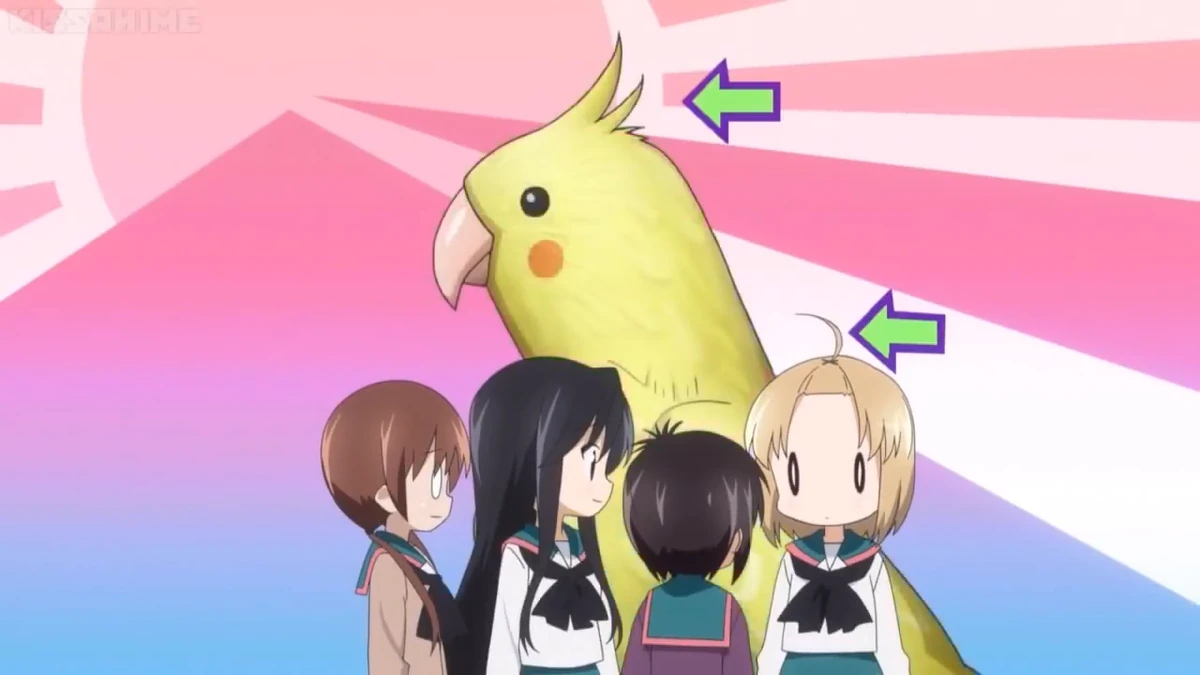 Sound Ideas, BIRD, ROOSTER ROOSTER, CALLS, CHICKEN FARM, ROOSTER