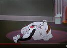 Stooge for a Mouse WB CARTOON, ZIP - QUICK ZIP