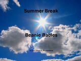 Summer Break Beanie Babies (2017)