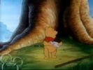 The New Adventures of Winnie the Pooh Sound Ideas, BOING, CARTOON - SMALL BOING