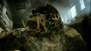 Primeval Hollywoodedge, Walrus Grunts Multip AT038601