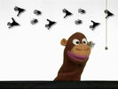 Sound Ideas, CHIMPANZEE - EXCITED CALL, ANIMAL, MONKEY, APE 01