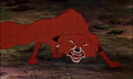 The Fox and the Hound (1981) Sound Ideas, DOG - GERMAN SHEPHERD: ANGRY GROWLS AND BARKS, ANIMAL (growl only, higher pitched)