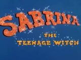 The Sabrina: The Teenage Witch Show