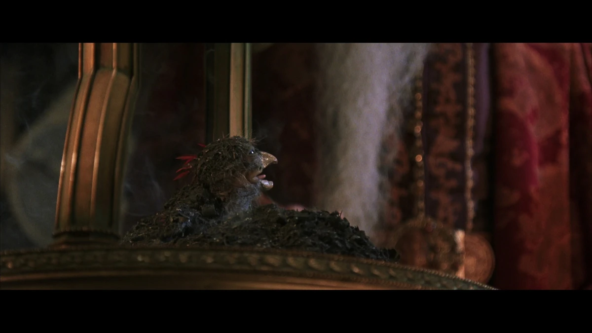 Hollywoodedge, Macaw Caws Deep Throa AT073801 Soundeffects Wiki Fandom