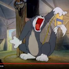 Tom Scream Image Gallery Tom Jerry Soundeffects Wiki Fandom Tom and jerry effects download. tom scream image gallery tom jerry