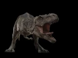 One dinosaur roar