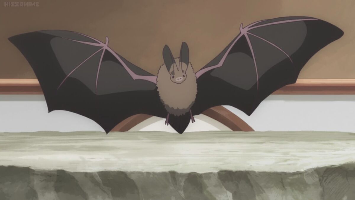Sound Ideas, ANIMAL, BATS COLONY OF BATS CHIRPING AND RUSTLING