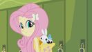 My Little Pony: Equestria Girls (2013) Sound Ideas, CAT - DOMESTIC: SINGLE MEOW, ANIMAL 04