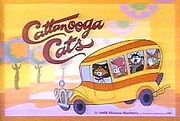 Cattanoga cats