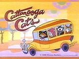 Cattanooga Cats