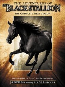Adventures of the black stallion