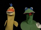 Sound Ideas, FROG - EVENING FROG AMBIENCE: SMALL GROUP CROAKING, ANIMAL, AMPHIBIAN 02