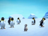 Hollywoodedge, Penguin Chirps Sever AT075901