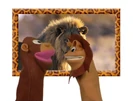 Wild Animal Safari (2010) (Videos) Sound Ideas, ANIMAL, HORSE - WHINNY AND NEIGH OUTSIDE VERSION 1