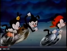 Animaniacs Promos TAZ SPIN