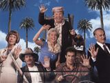 The Beverly Hillbillies (1993)