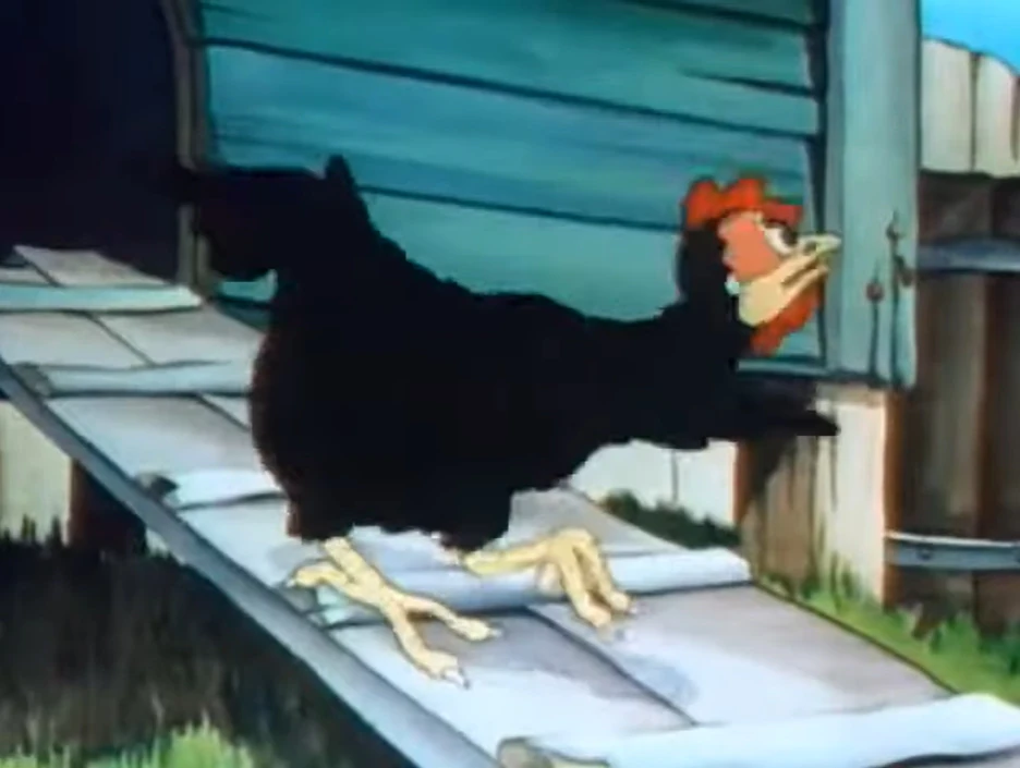 Sound Ideas, BIRD, CHICKEN CHICKENS LOUD CLUCKING, ANIMAL