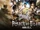 Attack on Titan