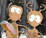 Travis and his wife, Kelly Mayfield on South Park Studios.