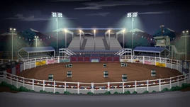 Tourist-attractions-amusements-rodeo-arena