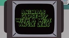QFR9.png (2.67 MB) "Animals Close-Up With a Wide-Angle Lens"