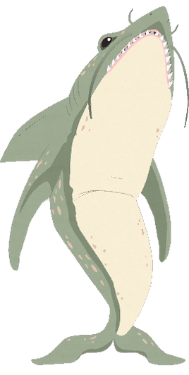 Animals-lake-tardicaca-shark