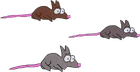 Kenny's Rats