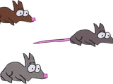 Kenny's Rats