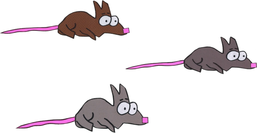 ケニーのネズミ サウスパーク アーカイブス Wiki Fandom