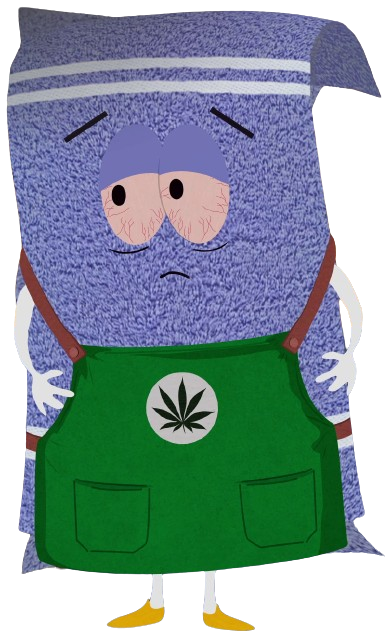 south park fractured but whole towelie gaming bud