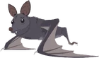 Bat