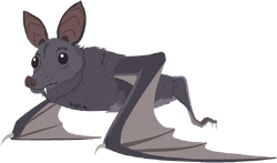 Non-human-wuhan-bat-cc.png