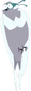 Swallow