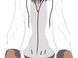 Osama bin Laden