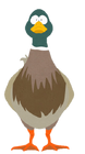Jeffy