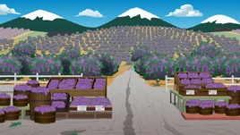 Farms-hillvale-farm-member-berry-farm