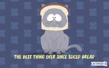 Mr. Kitty in Bread ("Nibarding")