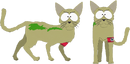 N*** Zombie Kittens