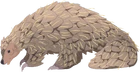 Pangolin