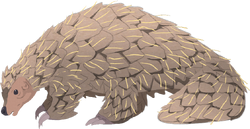 Non-human-animal-pangolin-cc.png