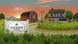 Tegridy Farms at sunrise.