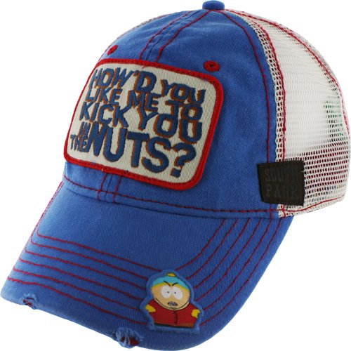 Hats - Beanies, Flat Bills, Dad Hats & More – South Park Shop