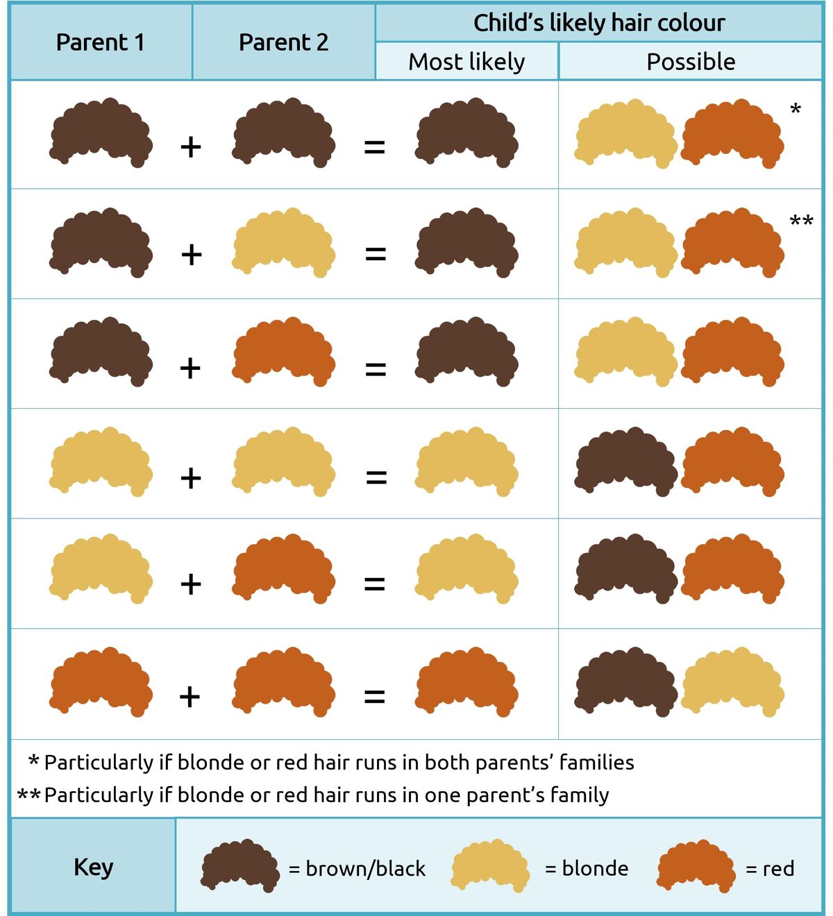 Цвет волос ребенка