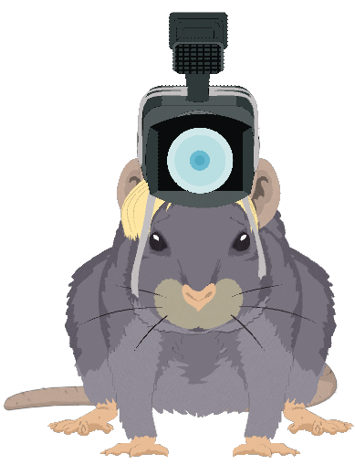 Wikileaks South Park Public Library Fandom