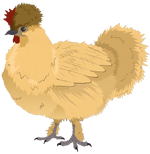 Non-human-boys-pets-mcnugget.png